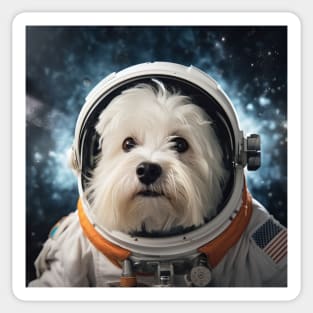 Astro Dog - Coton de Tulear Sticker